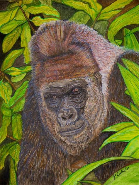 Mountain Gorilla In Jungle Canopy Painting By Jose Cabral Fine Art