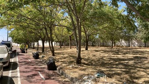 El Ayuntamiento interviene en la recuperación del espacio verde que se