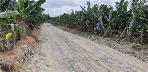 Agricultural Lot For Sale At Katipunan Panabo City