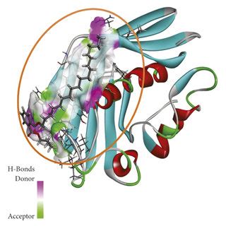 Graphical Representation Of Molecular Docked Complex Of Phthalic Acid