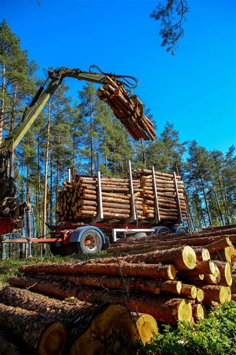 Crane In Forest Loading Logs In The Truck Timber Harvesting And