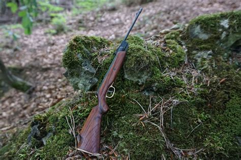 Миниатюрная пневматическая винтовка | Пикабу