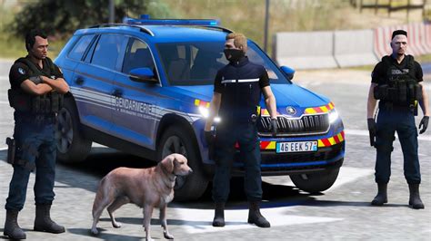 GTA 5 PATROUILLE AVEC FOXTROT LE CHIEN DU PSIG GENDARMERIE LSPDFR