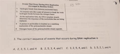 Solved Events That Occur During DNA Replication(Arranged in | Chegg.com