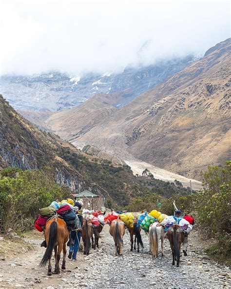 Taste the Peruvian Andes: World’s Original Superfood in Sacred Mountains