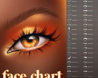 Face Chart 35 Piece Gloss Glow Stamp Brush Pack Photoshop Procreate