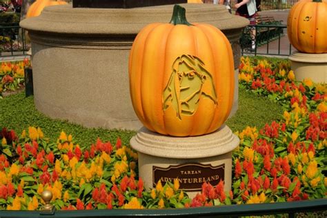 Photos: Disneyland Main Street Pumpkin Festival