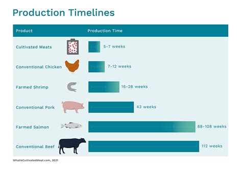 THE PROCESS || What Is Cultivated Meat?