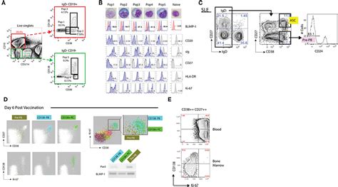 Frontiers Challenges And Opportunities For Consistent Classification