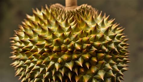 close  shot vibrant ripe durian fruit centered leonardoai