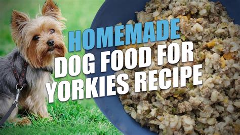 Best Dog Food For Yorkie Puppies - Best Dog Food For Yorkies Tips And ...