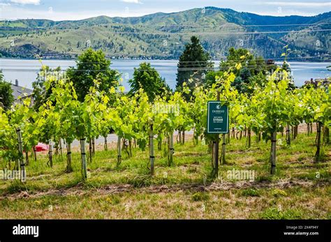 Lake Breeze Winery Hi Res Stock Photography And Images Alamy