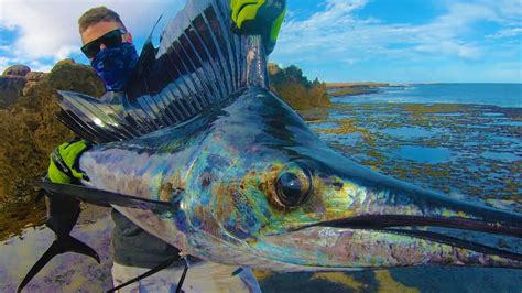 Catching The Fastest Fish In The Ocean From Land Sailfish Ep