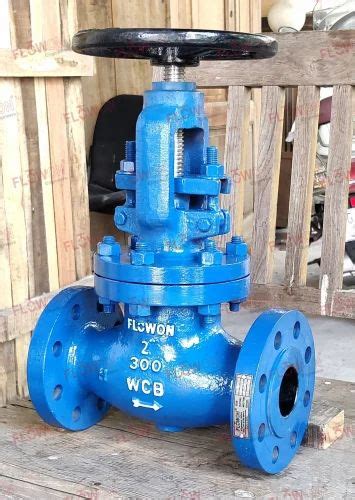 Cast Steel Globe Valve For Industrial At ₹ 1754 In Ahmedabad Id 2852044226962