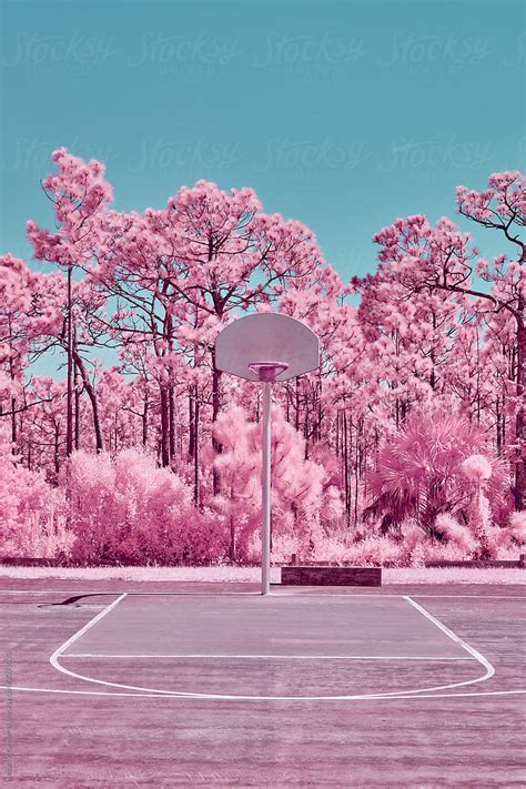 "Surreal Basketball Court In Pink Infrared" by Stocksy Contributor "SKC" - Stocksy