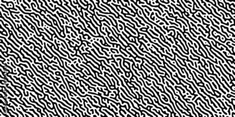 Turing Reaction Diffusion Black And White Seamless Pattern With Chaotic