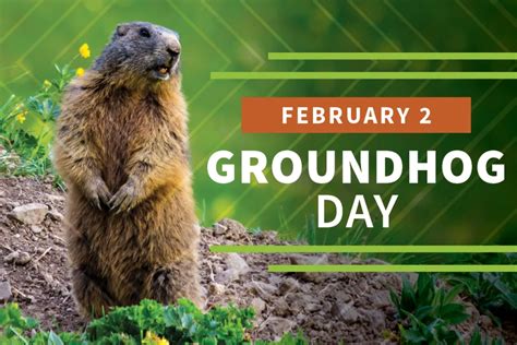 How True Is Groundhog Day What Happens During Groundhog Day ABTC