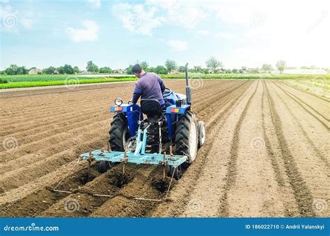 Agricultor Num Trator Que Faz Linhas Num Campo Agrícola Preparação Das