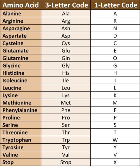 9 Asparagine 3 Letter Code Ateenauriana