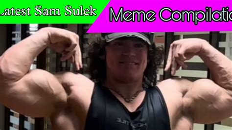 Sam Sulek Latest Meme Compilation Top Best And Funny Memes Youtube