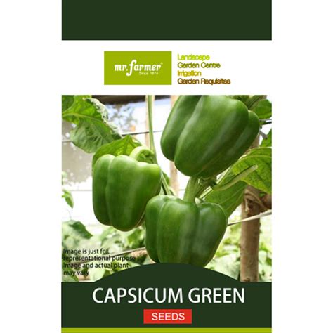 capsicum seeds  farmer