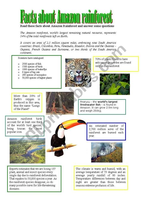 Facts About Amazon Rainforest Esl Worksheet By Athos466