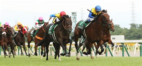 新潟記念2020コース解説新潟芝2000m外回り、新潟記念を勝つ為の3つの条件とは？ ｜ 3連単6点勝負！競馬で夢を叶える！3連単競馬予想