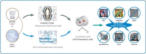 The Power Of Hypochlorous Acid Hoci