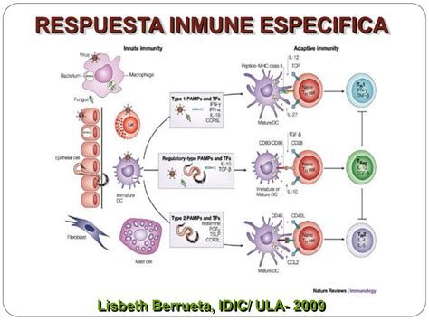 Inmunidad Especifica