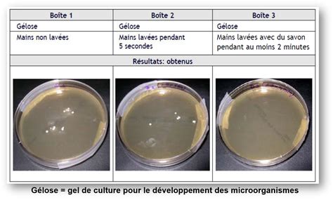 Partie 4 Learning Georges