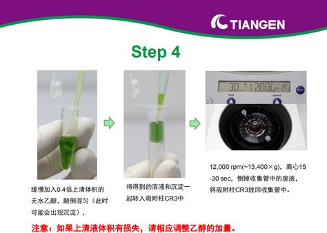 Rnaprep Pure 多糖多酚植物总 Rna 提取试剂盒操作指南（dp441） 丁香实验