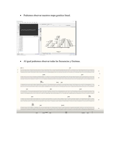 Pr Ctica De Simulaci N De Electroforesis En Gel De Agarosa Pdf