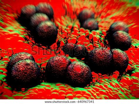 3d Rendering Neisseria Gonorrhoeae Bacteria 스톡 일러스트 640967341