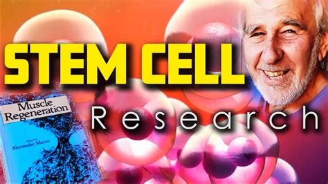 Pioneering Stem Cell Research In Youtube