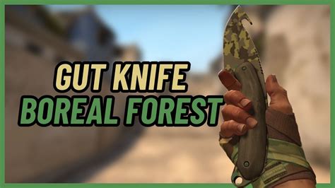 Gut Knife Boreal Forest Csgo Knife Showcase Youtube