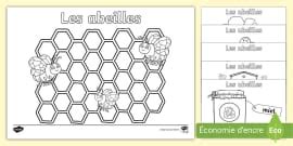 Comment Dessiner Une Abeille Teacher Made Twinkl