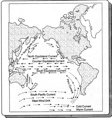 Pacific Ocean Currents