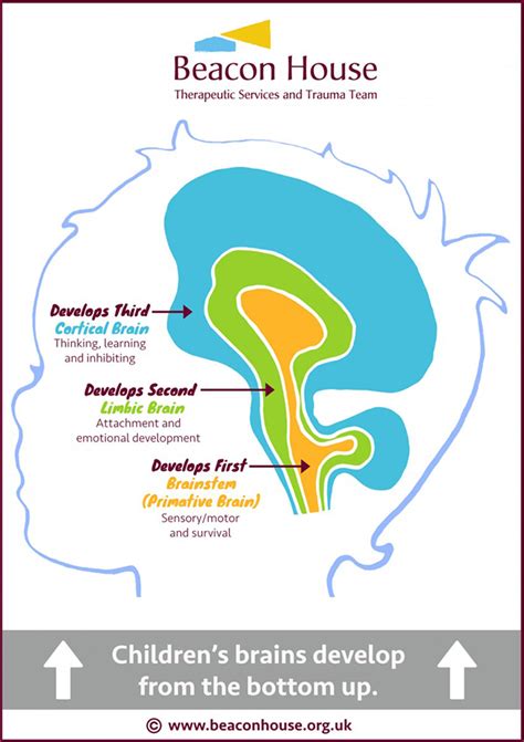 The Repair Of Early Trauma A Bottom Up Approach Chosen Care 2022