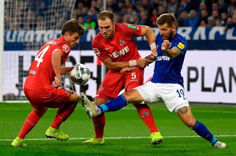 Schalke Vs Koln Predictions Betting Tips Preview Odds