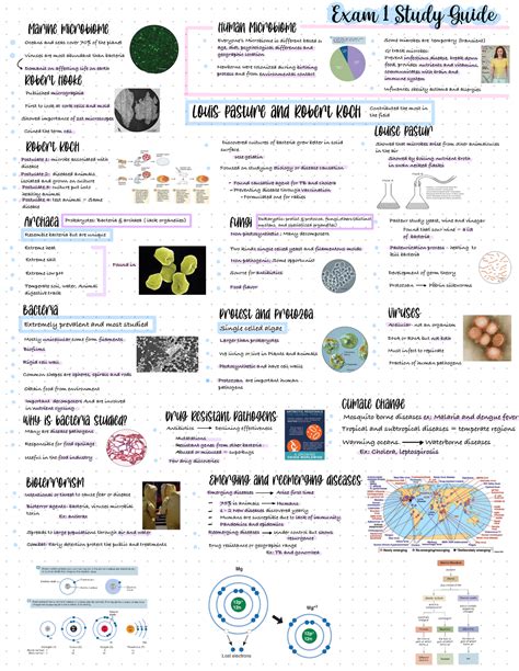 Micro Exam Study Guide Exam Study Guide Marine Microbiome Oceans