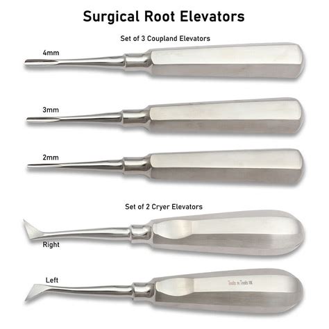 Buy Dental Root Elevators Coupland Cryer Tooth Luxation Extractor