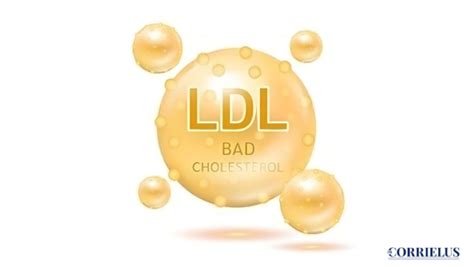 Four Methods for Lowering LDL Cholesterol