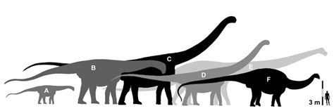 Supersaurus Size Comparison