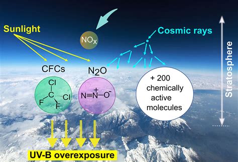 Impact Of Increased Cosmic Rays Uv Radiation And Fragility Of Ozone