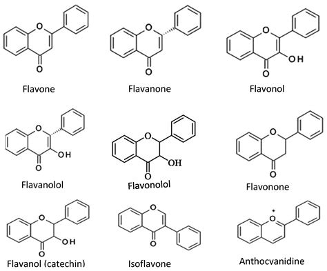 Plant Based Antioxidants Encyclopedia Mdpi