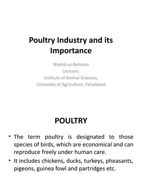 Poultry Industry And Its Importance Pdf Chicken Poultry Farming