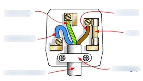 Plug Diagram | Quizlet