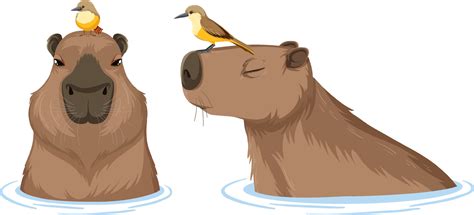 Capybara Vector Art, Icons, and Graphics for Free Download