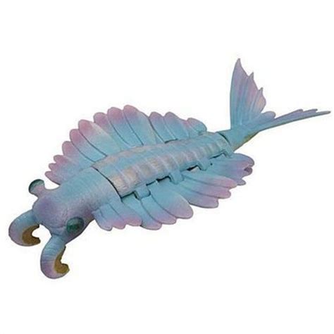 Anomalocaris Abnormal Shrimp Prehistoric Fish Dinosaur PVC Action