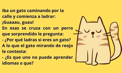 Los Mejores Chistes De Gatos Para Ni Os Diversi N Gatuna